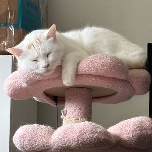 Meet your Posher, Stacey